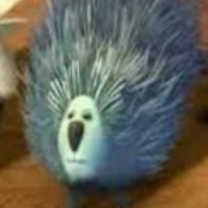 Meet your Posher, Estrella